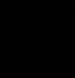 Meet your Posher, French fries